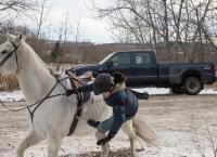 Heartland - Paradies für Pferde