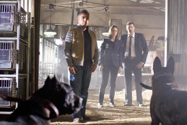 Bild 1 von 7: (v.l.n.r.) Cesar Millan (Cesar Millan); Booth (David Boreanaz); Dr. Brennan (Emily Deschanel)