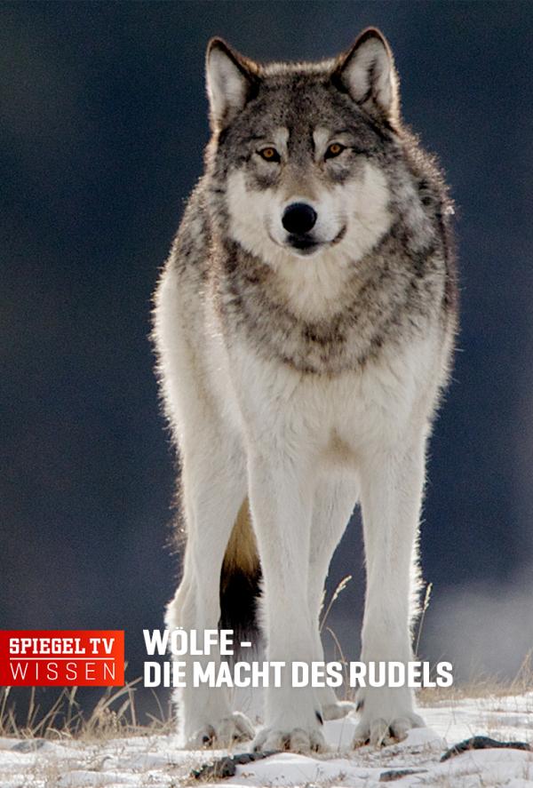 Bild 1 von 2: .
