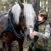 Tiere bis unters Dach