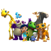 Bild 22