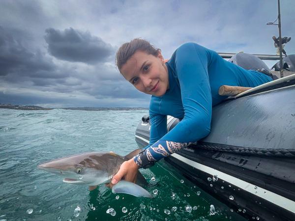 Bild 1 von 10: Wildtierärztin Hannah Emde entlässt einen jungen Dunkelhai wieder in die Freiheit. Zuvor wurde er mit einem Sender ausgestattet. Die fischreiche Küste vor der südafrikanischen Metropole Durban ist die \