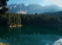 Tierwelt der Alpen
