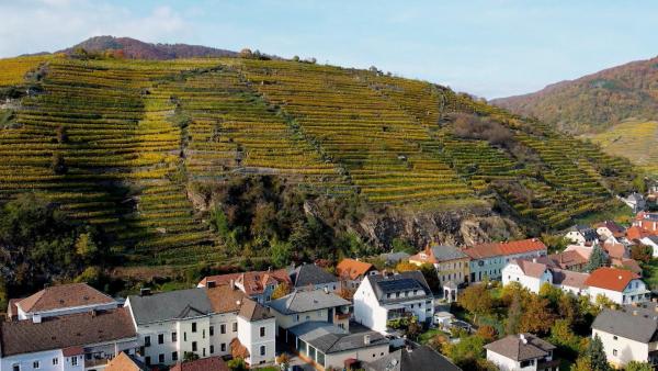 Bild 1 von 9: Im Bild: Tausendeimerberg Spitz an der Donau.