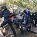 S.W.A.T.