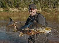 Giganten unter Wasser - Riesenfischen auf der Spur