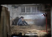 Three Pines - Ein Fall für Inspector Gamache