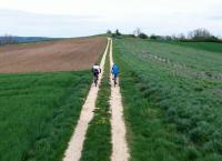 Lavaglut am Bodensee - Eine Reise zu den Hegau-Vulkanen