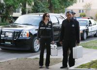 CSI: Den Tätern auf der Spur