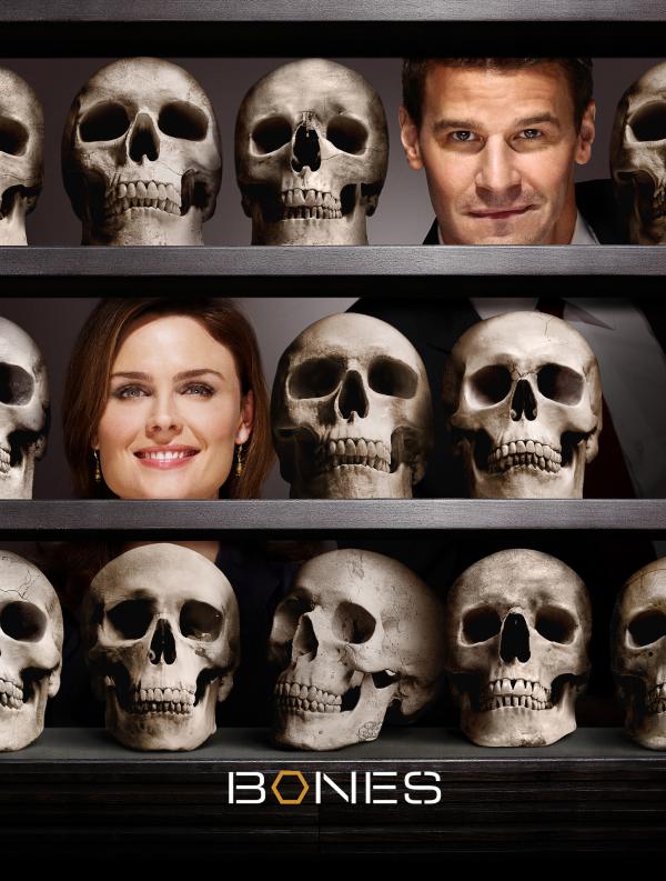 Bild 1 von 16: Bones - Die Knochenjägerin - Artwork