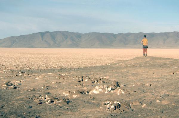 Bild 1 von 3: Eine bahnbrechende Entdeckung: Der französische Ornithologe Fabrice Schmitt stößt in der riesigen Atacama-Wüste Chiles auf die ersten bekannten Nester der Sturmschwalbe ? ein Fund, der das bisherige Wissen über die Art infrage stellt.