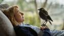 RBB 20:15: Beflügelt - Ein Vogel namens Penguin Bloom