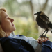 Beflügelt - Ein Vogel namens Penguin Bloom