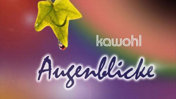Bild 1 von 6: .