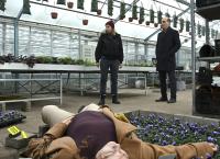 Tatort