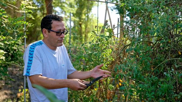 Bild 1 von 15: Im Bild: Marco Di Pasquale: \