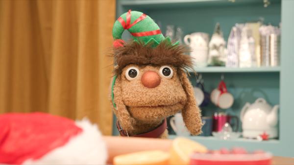 Bild 1 von 6: Moppi liebt die Weihnachtszeit.