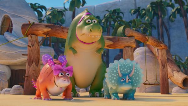 Bild 1 von 3: Der Wettbewerb für Haustiere scheint gerade den Haustieren keinen Spaß zu machen.