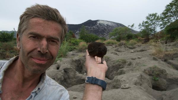 Bild 1 von 13: Die Inselwelt von Papua Neuguinea im Pazifik ist geprägt durch vulkanische Aktivität. Doch die feuerspuckenden Berge sind nicht nur zerstörerisch - sie bieten auch einen ganz besonderen Lebensraum. An den Flanken der aktivsten Vulkane nisten Großfußhühner. Sie legen ihre Eier in die heiße Asche und überlassen das Brüten dem Vulkan.