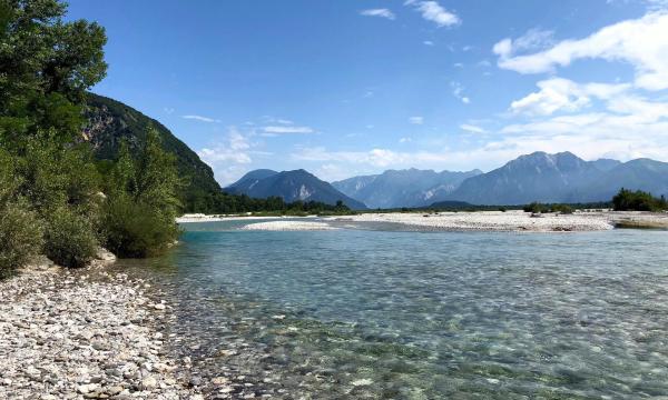 Bild 1 von 12: Der Tagliamento - Leben am wilden Fluss