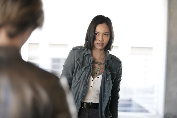 Bild 1 von 12: Desi (Levy Tran)