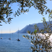 Abenteuer Gardasee