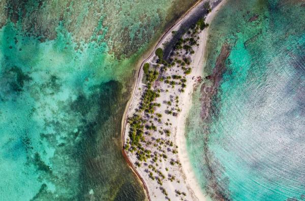 Bild 1 von 4: Belize beherbergt kostbare Lebensräume, die für die globale Artenvielfalt unersetzlich sind.