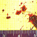 Medical Detectives - Geheimnisse der Gerichtsmedizin