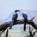 Bronx Zoo - Tierpark der Superlative
