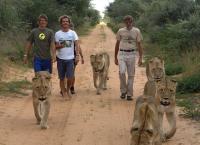 Das Waisenhaus für wilde Tiere