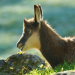 natur exclusiv