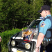 Polizeieinsatz Alaska