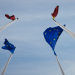 Zukunft der EU