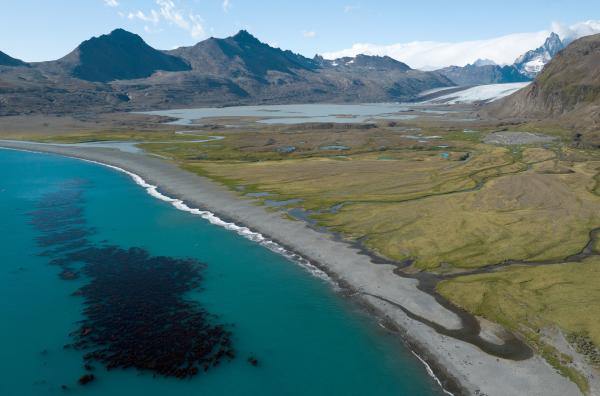 Bild 1 von 3: Die Crozet- und Kerguelen-Inseln am Rande des Südpolarmeers