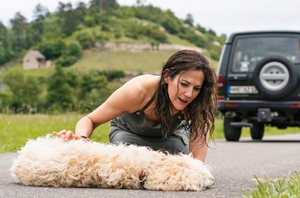 Bild 1 von 4: Maja Freydank (Bettina Zimmermann) hat Hund Tessa angefahren.