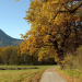Bild 17
