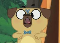 Der wunderliche Buchladen von Dog und Puck