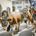 Bauernherbst im Salzburger Land