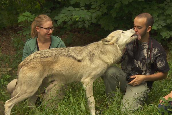 Bild 1 von 8: Besucher im Wolfsgehege