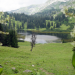 Bild 17