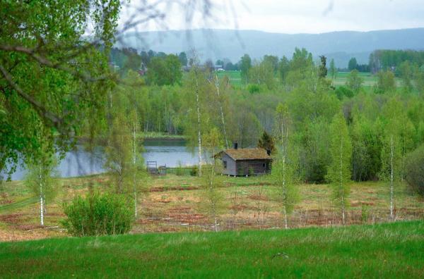 Bild 1 von 2: Die Autorin Selma Lagerlöf wuchs in Värmland auf, einer ländlichen Provinz im Südwesten Schwedens. Im Jahr 1906 gelang ihr der Durchbruch mit \