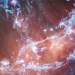 Spacetime
