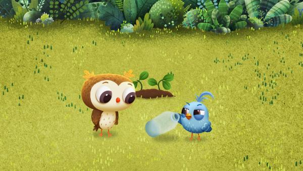 Bild 1 von 1: Odo findet eine Plastikflasche und versucht, sie wegzuwerfen. Aber die Flasche wird durch den starken Wind immer wieder zurückgeweht und bereitet den Campern alle möglichen Probleme.