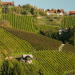 Landleben