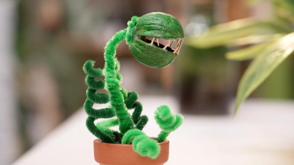 Bild 1 von 17: Die Gartenpiraten