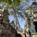 Bild 49