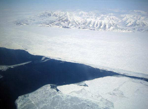 Bild 1 von 2: Winterlandschaft: Unterwegs in Alaska.