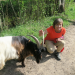 Expedition in die Heimat