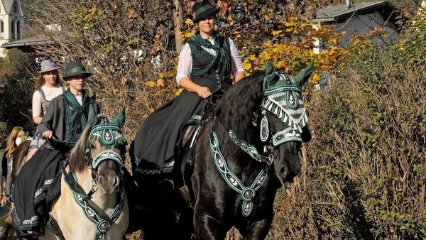 Bild 1 von 6: .