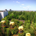 Das Tschernobyl-Vermächtnis